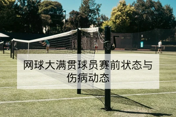 网球大满贯球员赛前状态与伤病动态